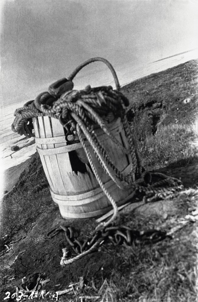 Nest of snow bunting in old barrel by  Rudolph Martin Anderson - Canadian Museum of History is licensed under CC BY-SA 4.0